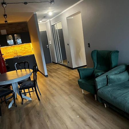 Apartament Z Widokiem Na Stadion Styl Industrialny Jedyny Taki Check In 24 H Poznaň Exteriér fotografie